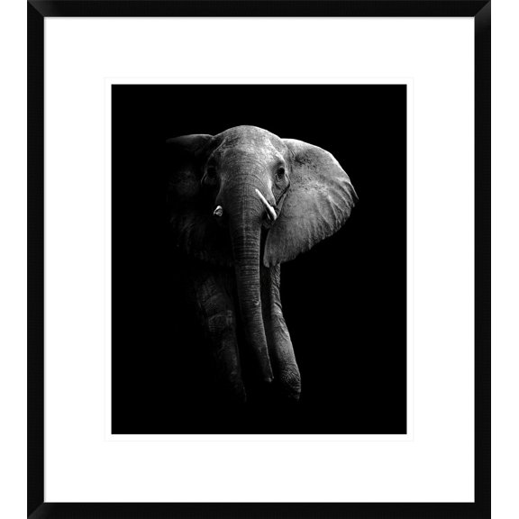 Global Gallery Wildphotoart 'Elephant!' Framed Wall Art