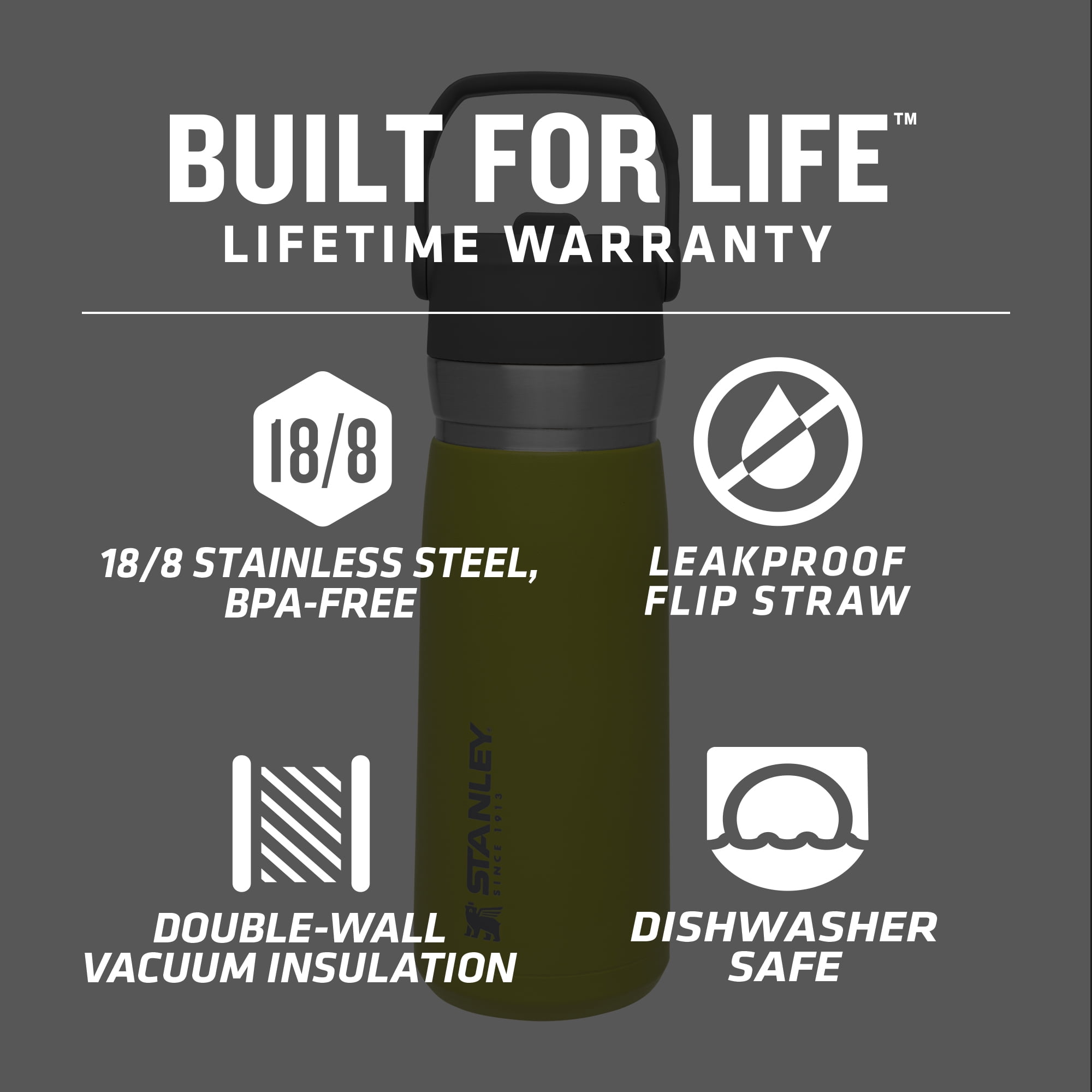 Stanley Flip Straw Insulated Stainless Steel Water Bottle, 22 oz, Size: 22 fl oz, Green