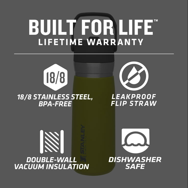 STANLEY 22 oz Green and Silver Insulated Stainless Steel Water Bottle with  Straw and Flip-Top Lid 