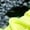Grass Green, variant on Men’s Camouflage Basketball Sneakers, Breathable Cushioned Athletic Shoes for Outdoor Courts, Running & Gym Training, Lightweight Non-Slip Plus Size Streetwear Sneakers