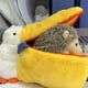 thumbnail image 2 of Monedero de Felpa Kawaii Pelícano Bolsa de Lápices de Animales de Peluche Bolsa de Almacenamiento de Maquillaje de para Regalos de Cumpleaños para Niños B, 2 of 4