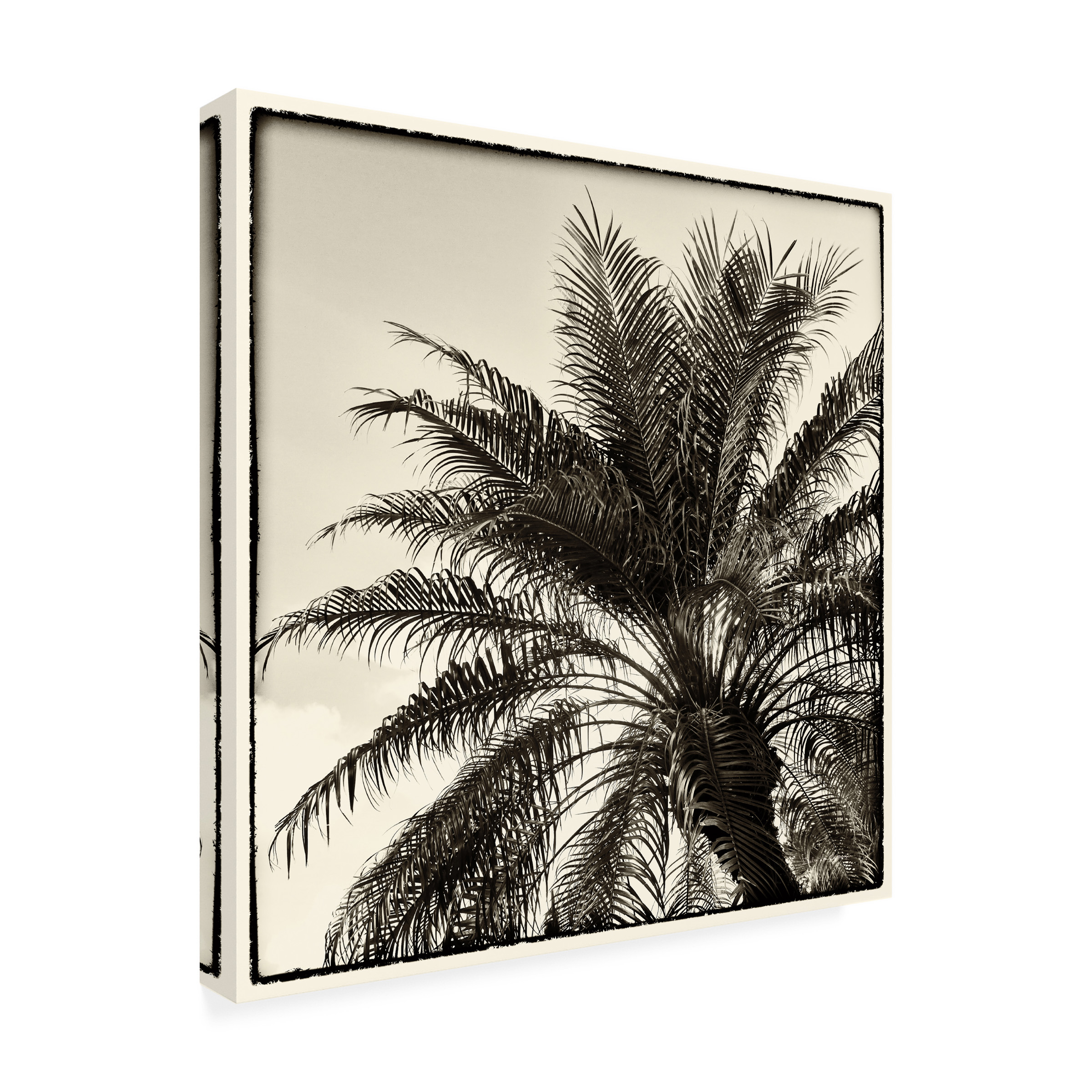 Trademark Fine Art 'Palm Tree Sepia I' Canvas Art by Debra Van Swearingen