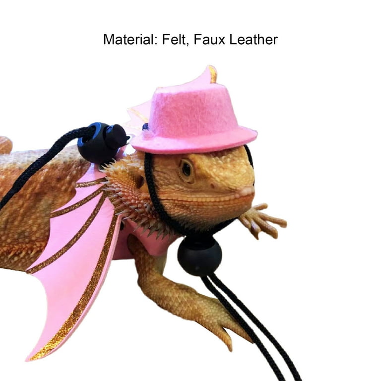 Bearded Dragon Bowtie Hat Lizard Leash with Harness Reptiles Small Pets  Animals