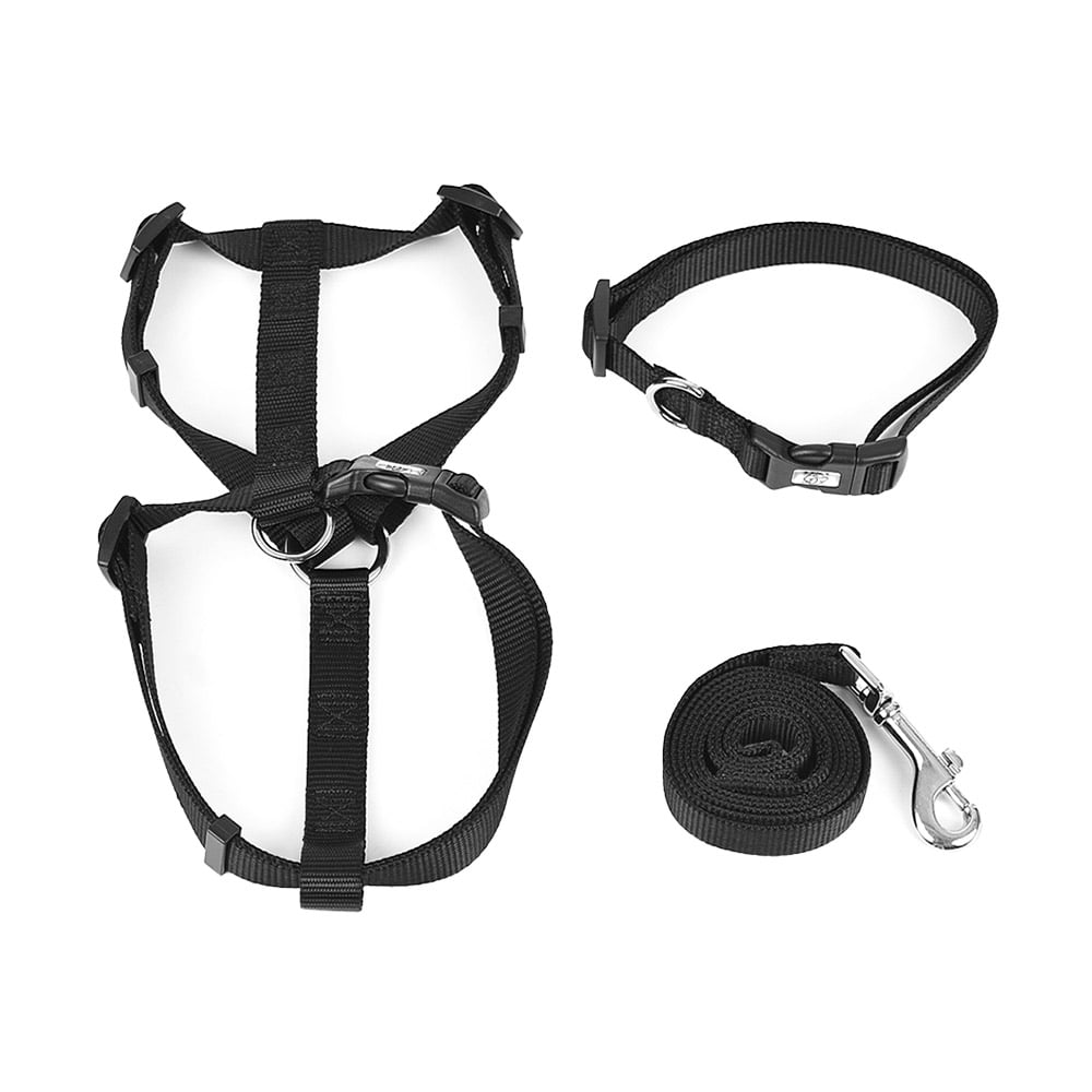 collar and harness set