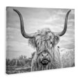 thumbnail image 3 of Joe Reynolds Highland Cow 40 in x 30 in Photography Canvas Art Print, by Stupell Home Décor, 3 of 7