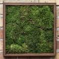 thumbnail image 2 of Bolsa de Musgo en Lámina Real Conservado Vickerman con Textura Rica Verde, 2 of 8