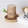 thumbnail image 4 of Brazilian Wood Pallet Air Purifying Indoor Hydroponic Flower Pot Tray Home Container Durable Stand, 4 of 4