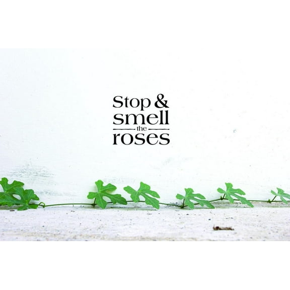 Unique Home Wall Stickers Stop Smell The Roses Decal Decal for Bedroom Living Room Nursery - Size: 16 In x 16 In