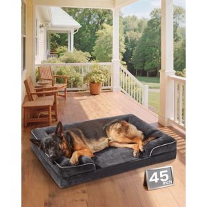 Ophanie Sofa-Style Orthopedic Dog Bed, Black, Large