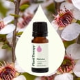 thumbnail image 3 of Plant Therapy Manuka Essential Oil, 10ml, 100% Pure and Undiluted, for Skin Blemishes & Respiratory Support, 3 of 8