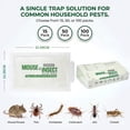 thumbnail image 3 of Sticky Mice Traps, Mouse Traps, Insect Glue Traps – Piège à Souris, Foldable Mouse Glue Traps, Extra-Sticky Glue Boards Traps, Non-Toxic, for Mice, Cockroaches, Spiders, Crawling Insects, 3 of 8