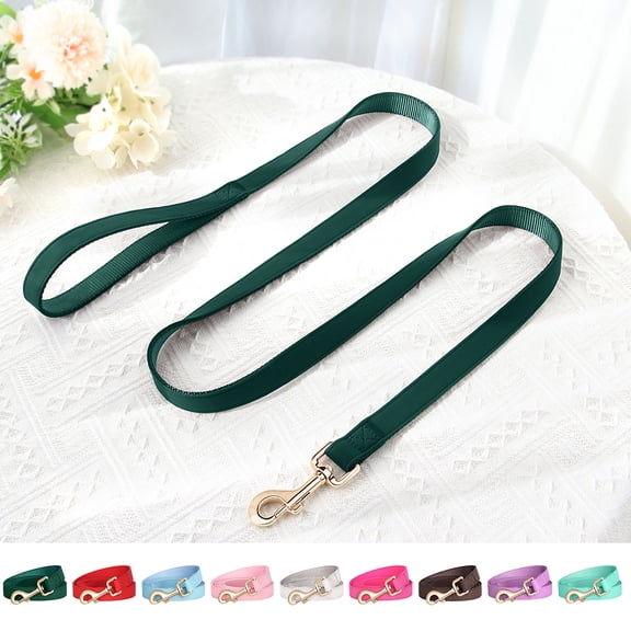 Pet Artist 5ft Heavy Duty Dog Leash, Durable Smooth PU Leather & Reinforced Nylon, Comfortable Anti-Pull Puppy Walking Leashes for Small to Large Dogs