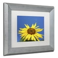 thumbnail image 4 of Trademark Fine Art "Facing the Sun II" Canvas Art by Kurt Shaffer, White Matte, Silver Frame, 4 of 4
