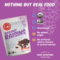 thumbnail image 2 of (Pack of 6), Made In Nature Organic Raisins, 12 oz, 2 of 4