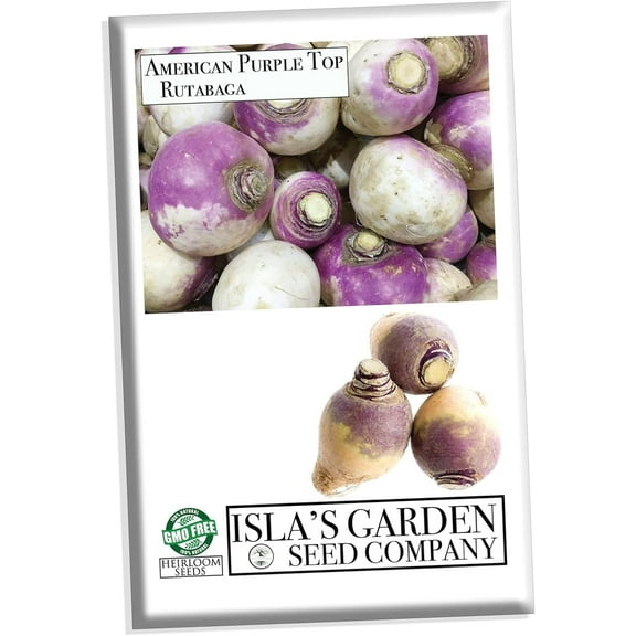 Rutabaga (American Purple Top), 150  Heirloom Seeds Per Packet Non GMO Seeds, Botanical Name Brassica napobrassica, Great Home Garden Gift