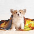 thumbnail image 4 of Yiaed Sunset Coast Sunflower Print Dog Blankets-Cat Blanket Washable for Couch Protection,Puppy Blanket, Soft Plush Reversible Throw Furniture Protector-, 4 of 8