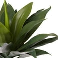 thumbnail image 3 of Nearly Natural 19" Large Agave Plastic Artificial Plant (Set of 2), Green, 3 of 8