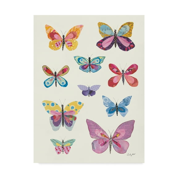 Trademark Fine Art 'Butterfly Charts II' Canvas Art by Courtney Prahl