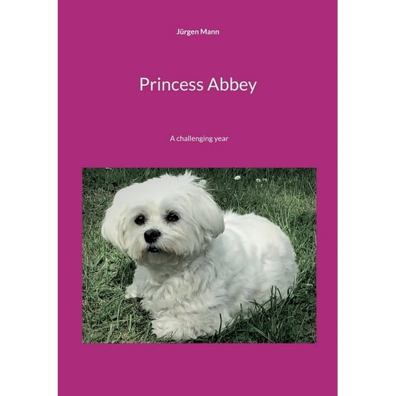Princess Abbey: A challenging year, (Paperback)