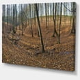 thumbnail image 2 of Bois dans la Forêt d'Automne Panorama - Impression sur Toile d'Art de Forêt, 2 of 4