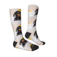 thumbnail image 4 of Lsque Dachshund Sitting in Bathtub Printed Crew Socks Men's Women's LightWeight Thin Casual Calf Socks ,Knee High Socks,Cotton Socks, 4 of 9