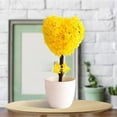 thumbnail image 3 of ONFD LUXLEVO Heart Shaped Bonsai Mini Potted For Home Desk White Small Ornamental Tabletop, 3 of 5