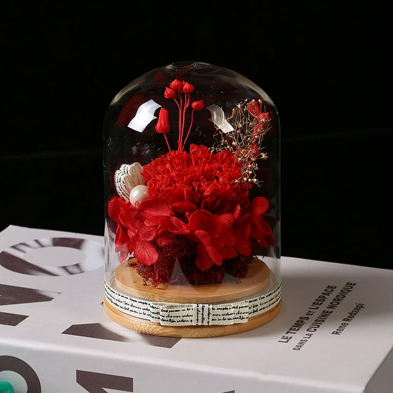 Mothers Day Flowers Gifts, Birthday Gift, Womens Gifts for Her, Flowers  Preserved Forever in Glass Dome, Romantic Decoration for Weddings,  Thanksgiving gift for her, 