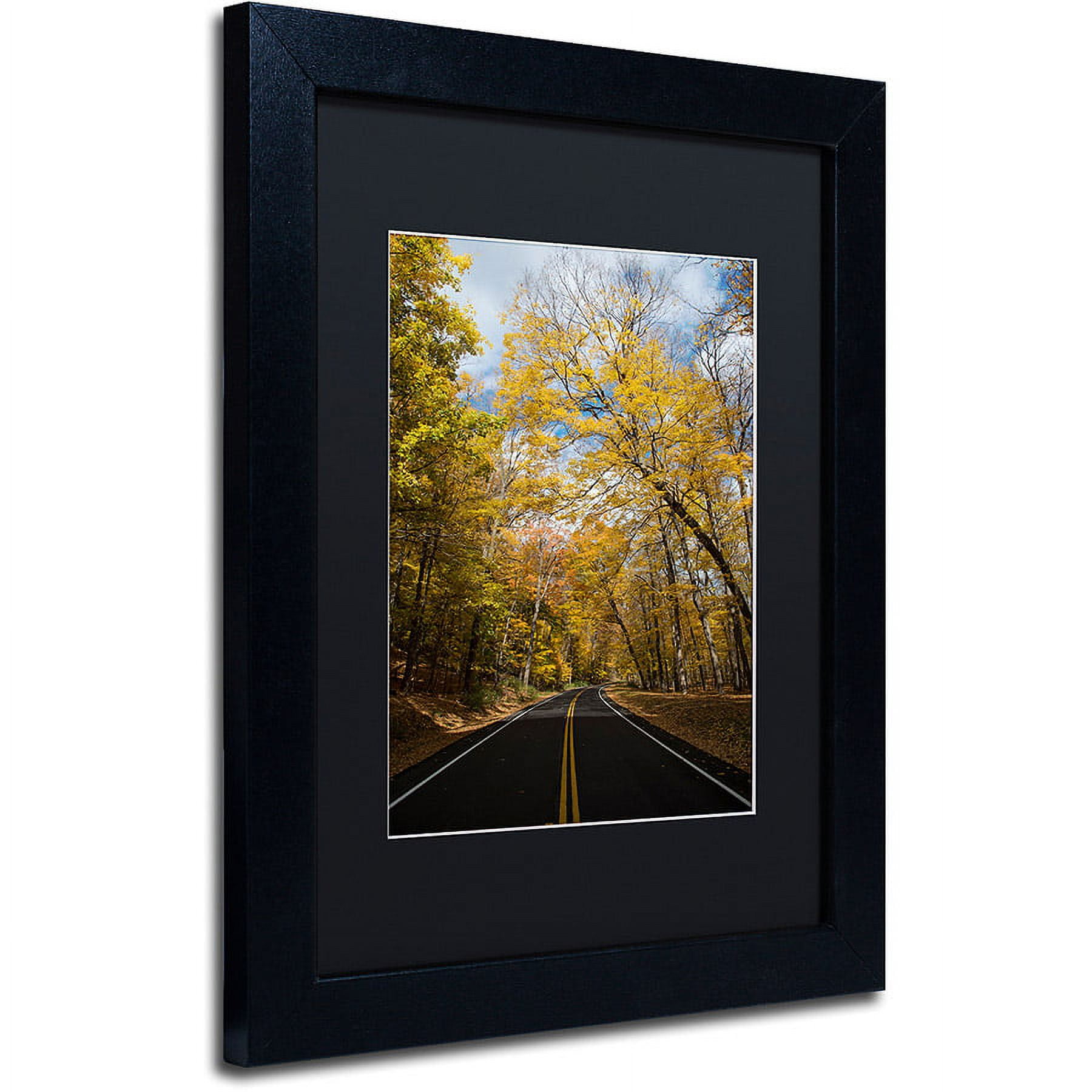 Trademark Fine Art "Autumn Along the Valley Parkway 2" Canvas Art by Kurt Shaffer, Black Matte, Black Frame