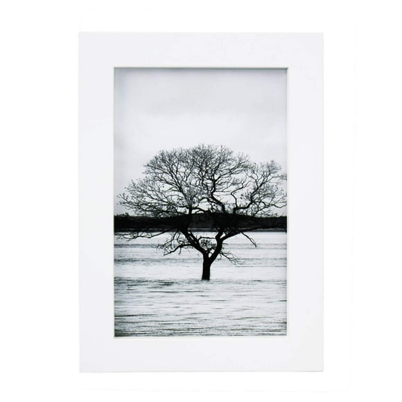 Egofine 4x6 Picture Frame White - Made of Solid Wood covered by Plexiglass for Table Top Display and Wall Mounting Photo Frame