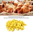 thumbnail image 3 of 100Pcs Chicken Leg Rings, Bright Color Numbered Plastic Letter Pigeons Bird Leg Bands Rings For Chickens Ducks Goose, 3 of 8