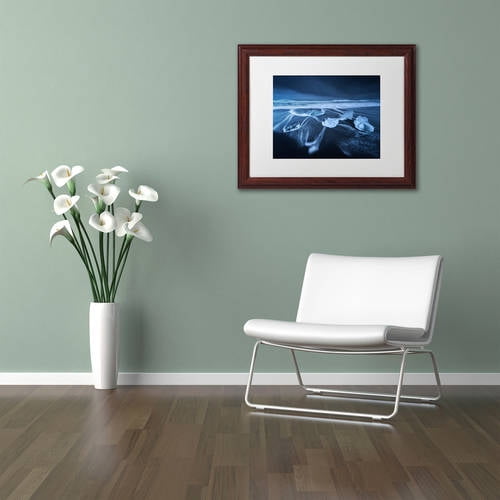 Trademark Fine Art "The Ice Age" Canvas Art by Mathieu Rivrin, White Matte, Wood Frame