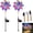 2pcs, variant on Magical Holographic Rainbow Solar Pinwheel Lights,Color Changing LED Windmill Garden Stake,Outdoor Solar Windmill Garden Light Waterproof Outdoor Yard Decor for Pathway,Lawn&Patio (2PCS)