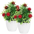 thumbnail image 1 of Here's a polished and professional product description based on your input:\n\n \n\n**2PCS Artificial Fruit Tree with Pot – Lifelike Miniature Bonsai, 1 of 5
