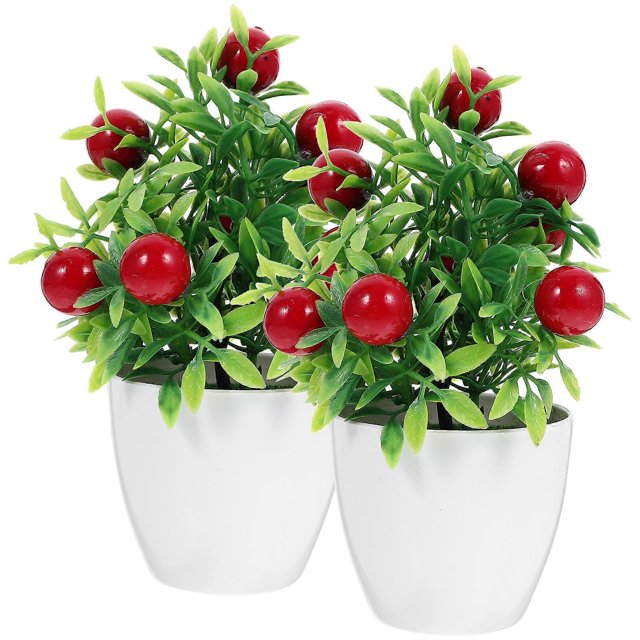 Here's a polished and professional product description based on your input:\n\n \n\n**2PCS Artificial Fruit Tree with Pot – Lifelike Miniature Bonsai