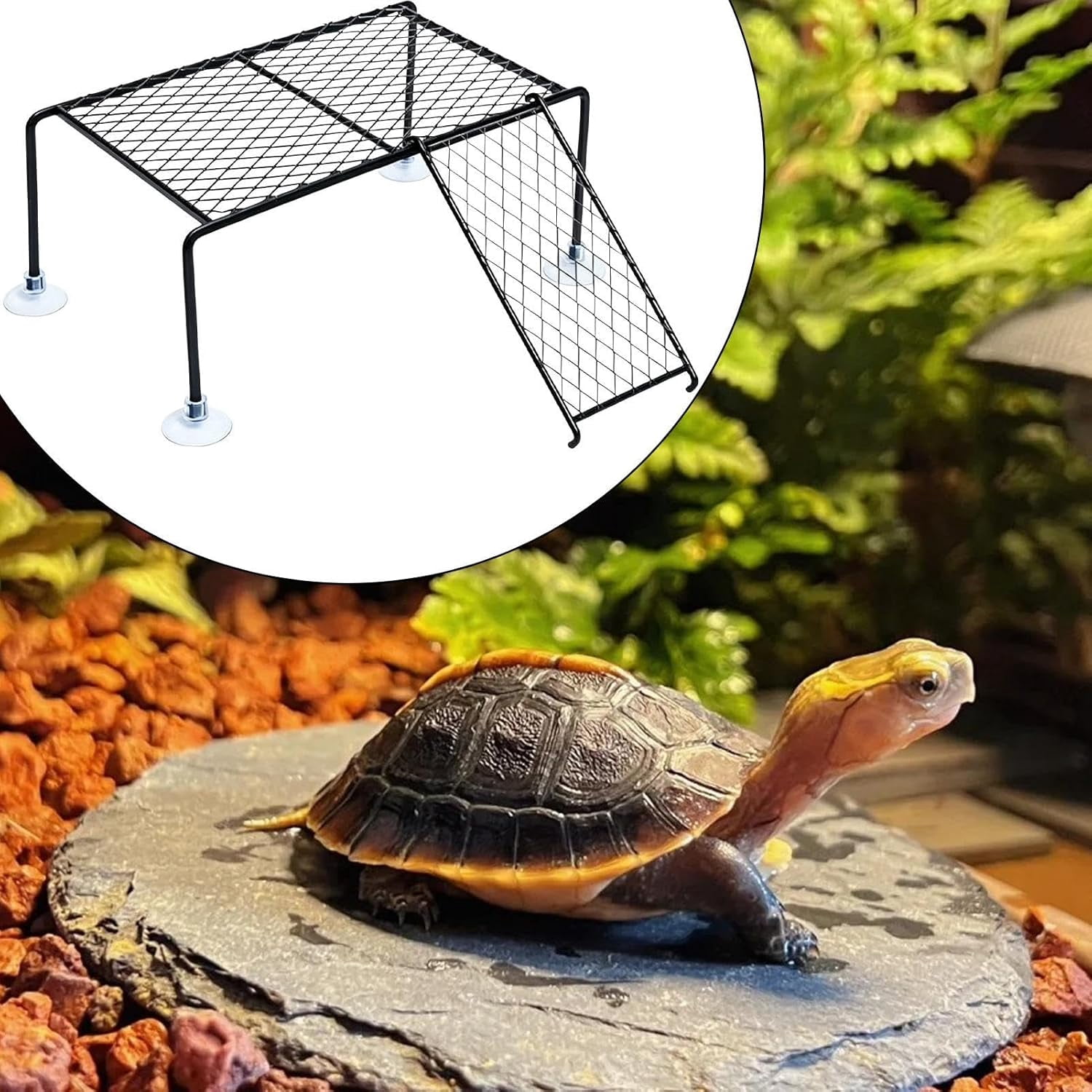 Turtle Basking Platform with Suction Cups, 23x32x11 cm for Aquarium Tank