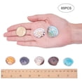 thumbnail image 4 of 50~56pcs Dyed Natural Conch Shell Beads Drilled Tiny Scallop Sea Shells Ocean Beach Seashells Craft Charms for Candle Making Home Decoration Party Wedding Decor, 4 of 5