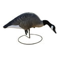 thumbnail image 3 of Higdon XS TruFeeder Alpha Canada Goose Motion Decoy, 3 of 4