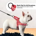 thumbnail image 4 of Didog No Pull Dog Harness with Soft Padded Handle Front Leading Safety Escape Proof Quick Fit Buckle, 4 of 7