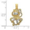 thumbnail image 2 of FJC Finejewelers 10 kt Yellow Gold W/ Rhodium 2-D and Textured Octopus Charm 17 x 11 mm, 2 of 6