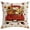 A, variant on Btomtd Pumpkin Pillow Covers 18 x 18 for Thanksgiving, Fall Decorative Pillow Cases, Soft Couch Cushion Covers for Sofa Bedroom, C