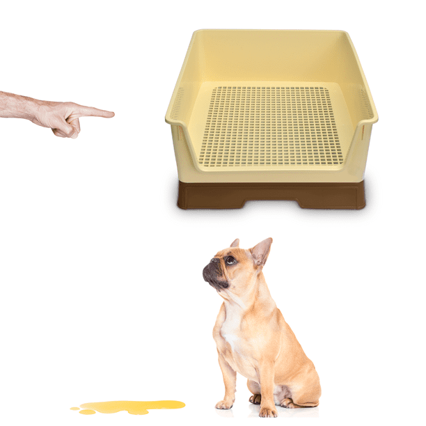 Caja De Arena Para Perros Bandeja Sanitaria Para Perros
