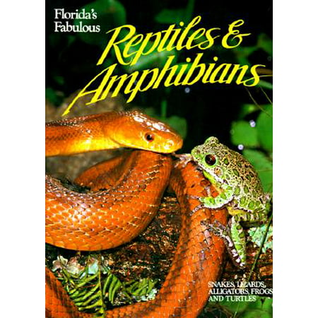 Florida's Fabulous Reptiles and Amphibians : Snakes, Lizards, Alligators, Frogs, and