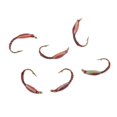 thumbnail image 2 of 6x Señuelo Zumbador Ninfa Trucha Pesca Cebo Vivo Moscas Atención Gran Pescado Diversión, 2 of 8