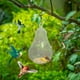thumbnail image 1 of Humming Feeder Manually Blowing Hummingbird Feeder, 1 of 9