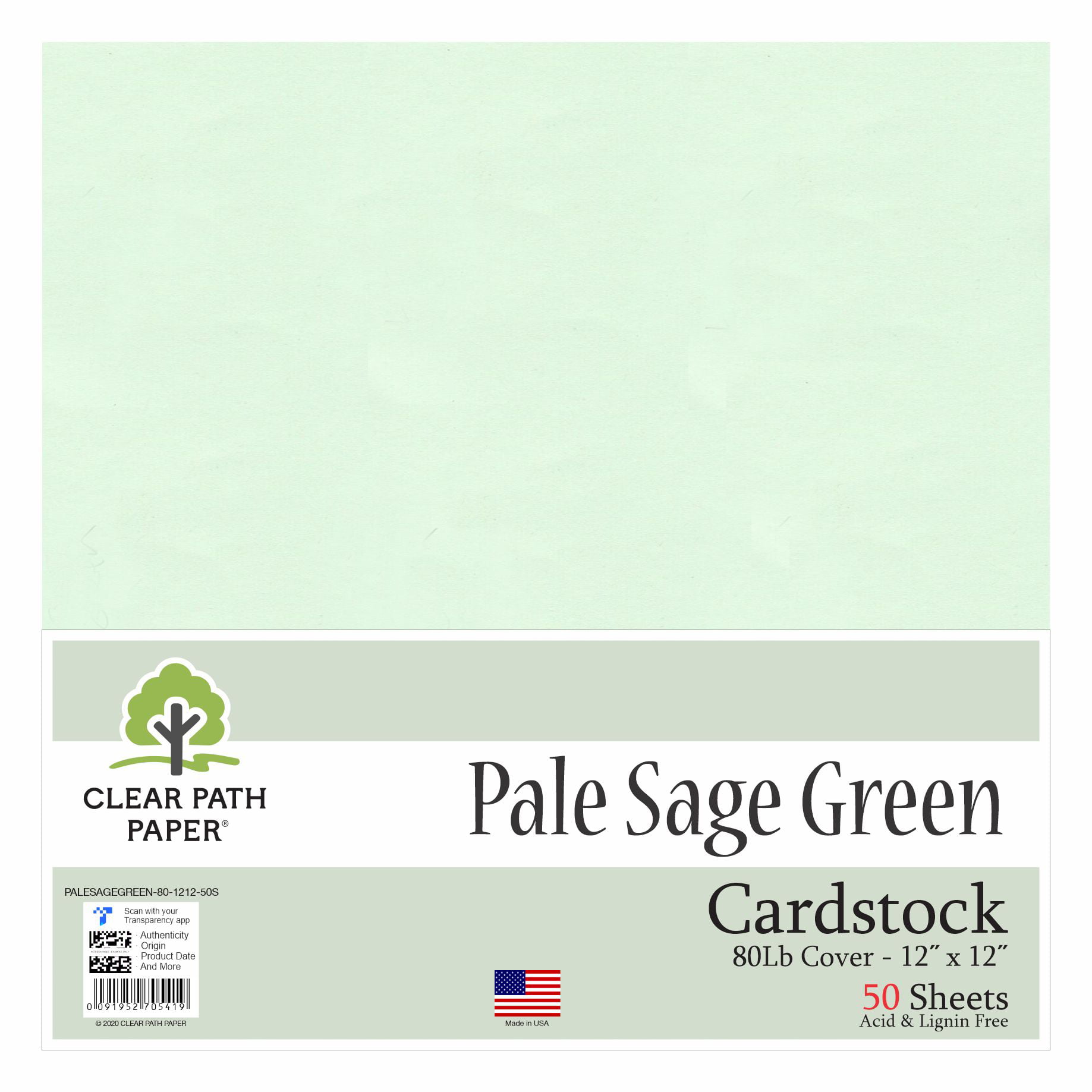  Parchment Sage Green Cardstock - 12 x 12 inch - 65Lb Cover - 50  Sheets - Clear Path Paper : Automotive