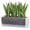 Clear, variant on GYA 12 Inch Window Box Planter, Rectangle Plastic Herb Planter with Drainage Holes and Saucer, Indoor Succulent Cactus Vegetable Pot for Windowsill, Garden Balcony, Black, Set of 2, 76-X-B-2