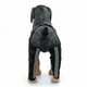 thumbnail image 3 of Rodillera para perros con doble protección para patas traseras, para dislocación de rótula, artritis y ligamento cruzado anterior, mantiene la articulación caliente y ofrece soporte adicional, 3 of 5