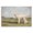 Lamb Farmhouse Painting, variant on Stupell Industries Modern Cows Grazing Modern Black Floating Frame Canvas Art, 21 x 17, by Sally Hootnick