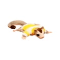 thumbnail image 2 of Sugar Glider Plush Toy Possum Stuffed Animal with Striped Sweater,Realistic Wildlife Soft Doll Cuddly Companion for Home Office Decoration, 2 of 6