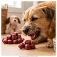 thumbnail image 4 of Premios para Perro Barkys Mini Chuletitas 100 g, 4 of 5